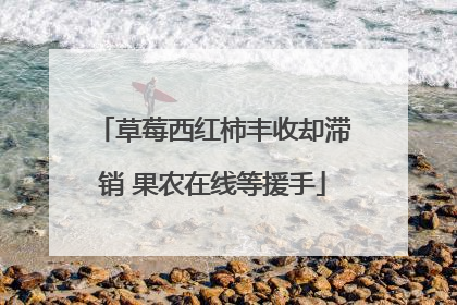 草莓西红柿丰收却滞销 果农在线等援手