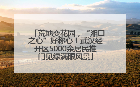 荒地变花园，“湘口之心”好称心！武汉经开区5000余居民推门见绿满眼风景