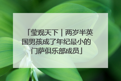 莹观天下｜两岁半英国男孩成了年纪最小的门萨俱乐部成员