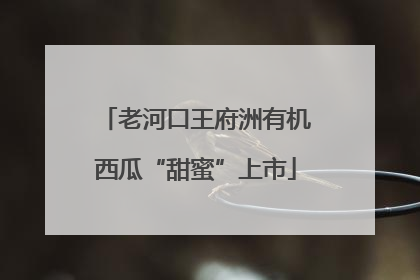 老河口王府洲有机西瓜“甜蜜”上市