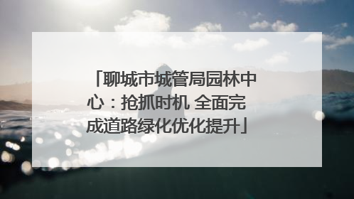 聊城市城管局园林中心：抢抓时机 全面完成道路绿化优化提升