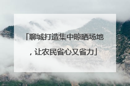 聊城打造集中晾晒场地，让农民省心又省力