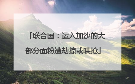 联合国：运入加沙的大部分面粉遭劫掠或哄抢
