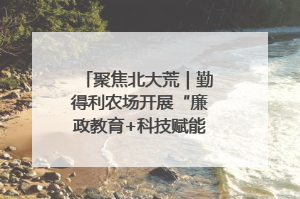 聚焦北大荒｜勤得利农场开展“廉政教育+科技赋能”主题党日活动