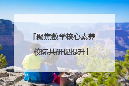 聚焦数学核心素养 校际共研促提升