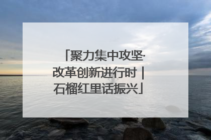 聚力集中攻坚·改革创新进行时｜石榴红里话振兴