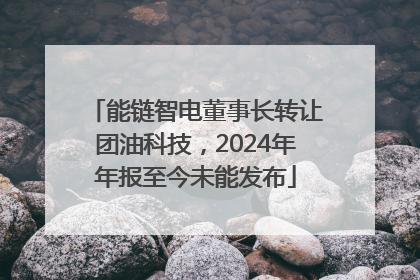 能链智电董事长转让团油科技，2024年年报至今未能发布