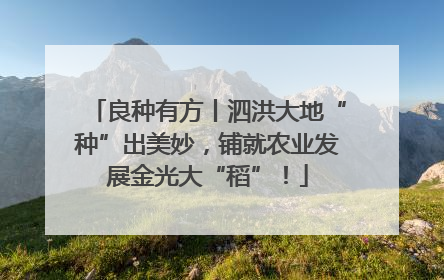 良种有方丨泗洪大地“种”出美妙，铺就农业发展金光大“稻”！