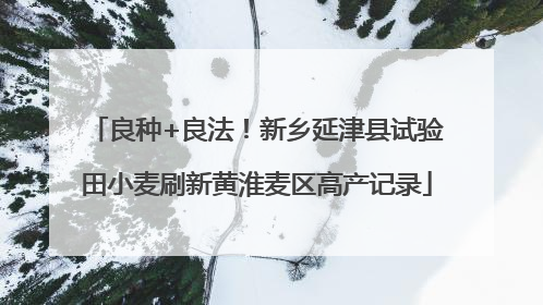 良种+良法！新乡延津县试验田小麦刷新黄淮麦区高产记录