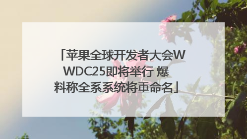 苹果全球开发者大会WWDC25即将举行 爆料称全系系统将重命名