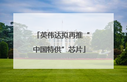 英伟达拟再推“中国特供”芯片