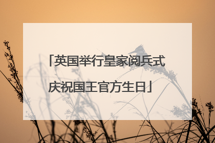 英国举行皇家阅兵式庆祝国王官方生日