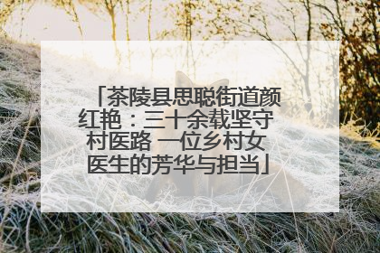 茶陵县思聪街道颜红艳：三十余载坚守村医路 一位乡村女医生的芳华与担当