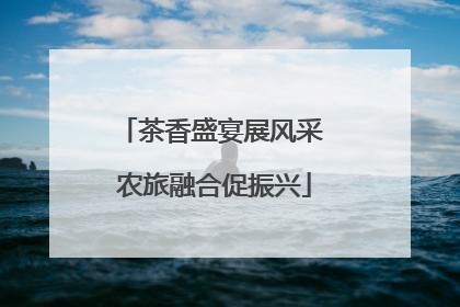 茶香盛宴展风采 农旅融合促振兴