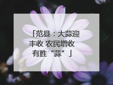 范县：大蒜迎丰收 农民增收有胜“蒜”