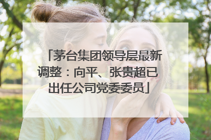 茅台集团领导层最新调整：向平、张贵超已出任公司党委委员