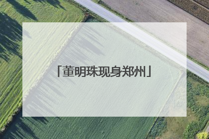 董明珠现身郑州