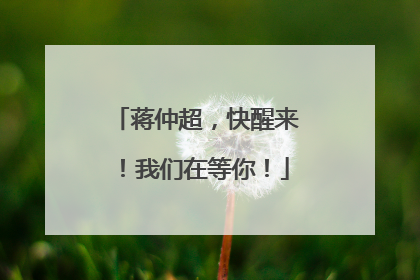 蒋仲超，快醒来！我们在等你！