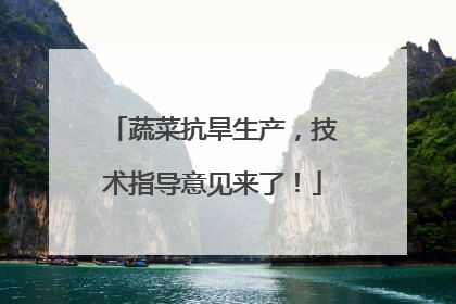 蔬菜抗旱生产，技术指导意见来了！