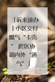 诉来速办丨小区交付燃气“卡壳” 跨区协调内外“通气”