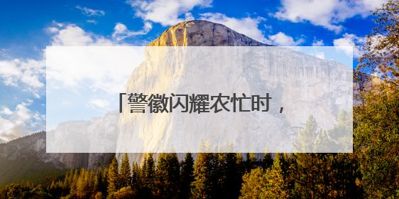 警徽闪耀农忙时，仪征多措并举守护百姓“粮袋子”