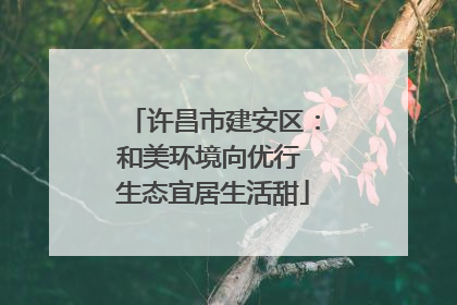 许昌市建安区：和美环境向优行 生态宜居生活甜
