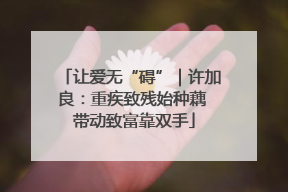 让爱无“碍”｜许加良：重疾致残始种藕 带动致富靠双手