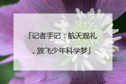 记者手记：航天观礼，放飞少年科学梦