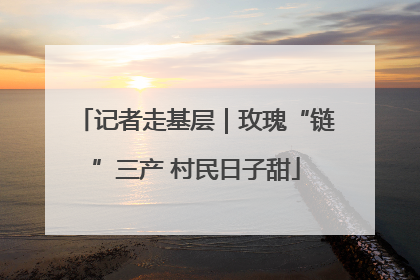 记者走基层｜玫瑰“链”三产 村民日子甜