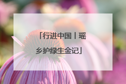 行进中国丨瑶乡护绿生金记