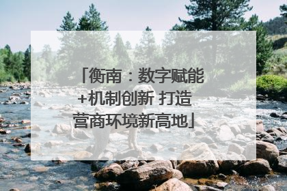 衡南：数字赋能+机制创新 打造营商环境新高地