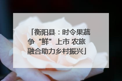 衡阳县：时令果蔬争“鲜”上市 农旅融合助力乡村振兴