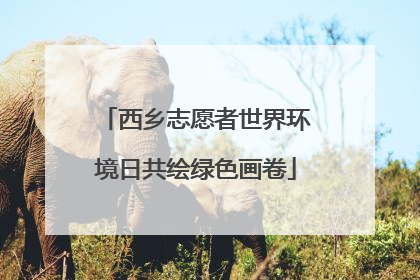 西乡志愿者世界环境日共绘绿色画卷