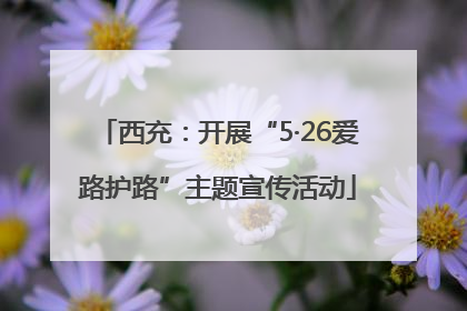 西充：开展“5·26爱路护路”主题宣传活动