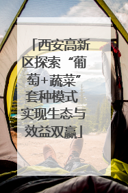 西安高新区探索“葡萄+蔬菜”套种模式 实现生态与效益双赢