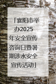 襄阳市举办2025年安全宣传咨询日暨暑期涉水安全宣传活动