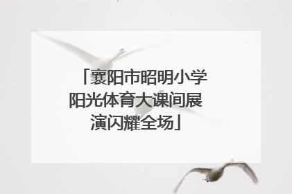 襄阳市昭明小学阳光体育大课间展演闪耀全场