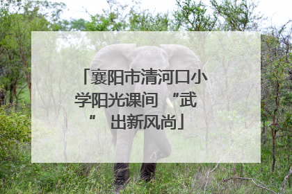 襄阳市清河口小学阳光课间 “武” 出新风尚