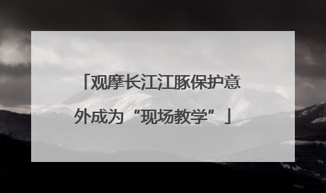 观摩长江江豚保护意外成为“现场教学”