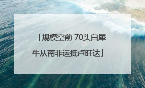 规模空前 70头白犀牛从南非运抵卢旺达