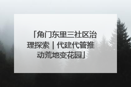 角门东里三社区治理探索｜代建代管推动荒地变花园