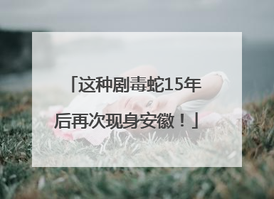 这种剧毒蛇15年后再次现身安徽！