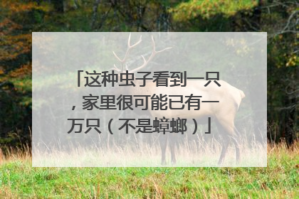 这种虫子看到一只，家里很可能已有一万只（不是蟑螂）