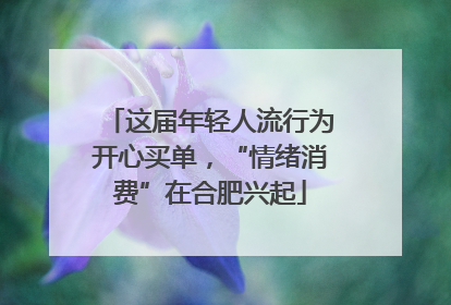这届年轻人流行为开心买单，“情绪消费”在合肥兴起