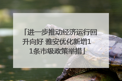 进一步推动经济运行回升向好 雅安优化新增11条市级政策举措
