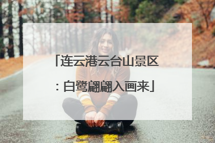 连云港云台山景区：白鹭翩翩入画来