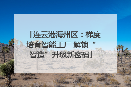 连云港海州区：梯度培育智能工厂 解锁“智造”升级新密码