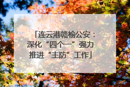 连云港赣榆公安：深化“四个一”强力推进“主防”工作