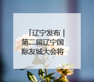 辽宁发布｜第二届辽宁国际友城大会将于6月12日至13日在沈阳举办