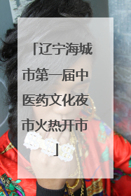 辽宁海城市第一届中医药文化夜市火热开市